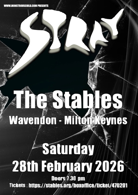 Read more about the article STRAY – February 28th 2026